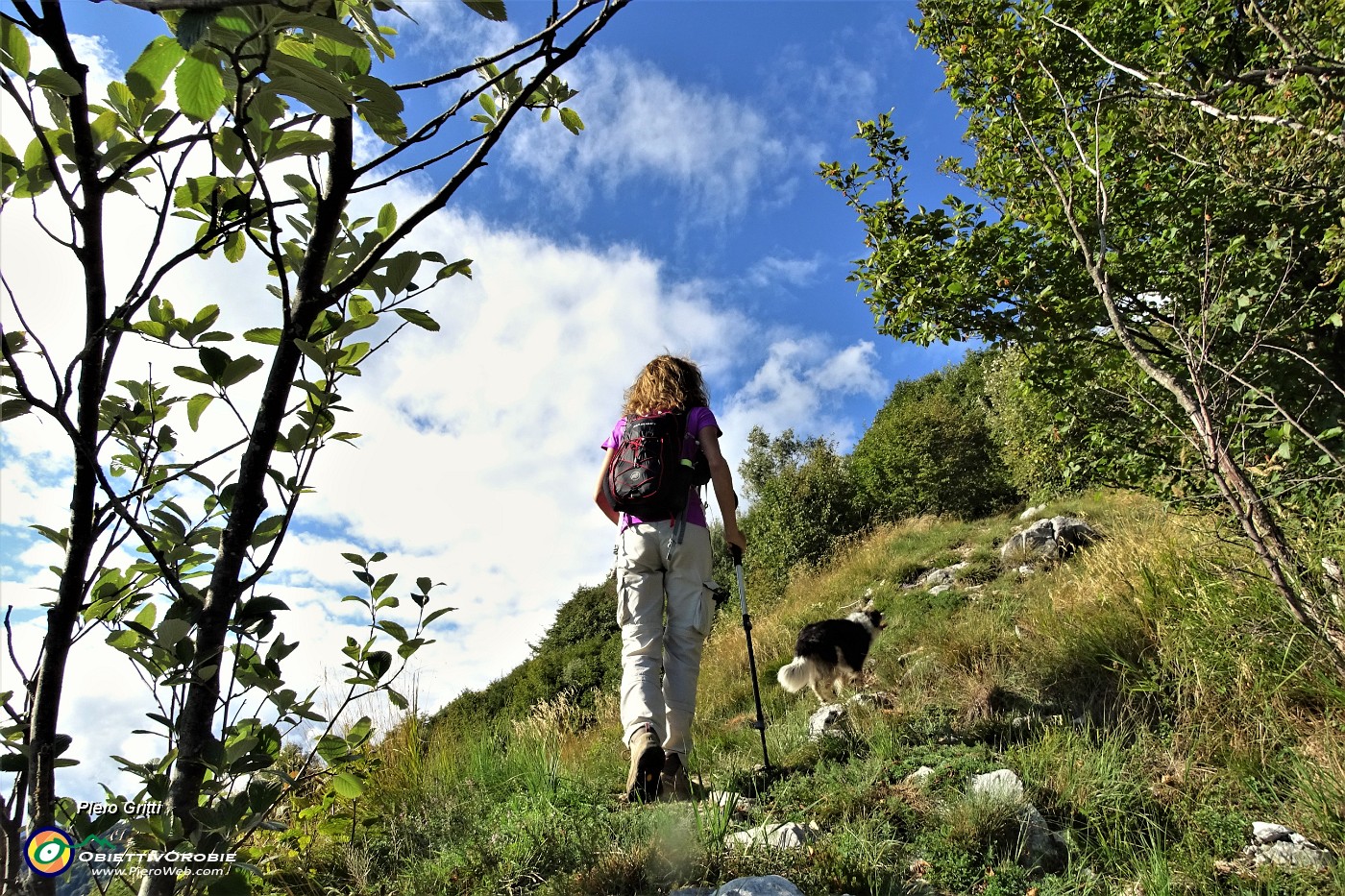 34 Il bosco si dirada.JPG